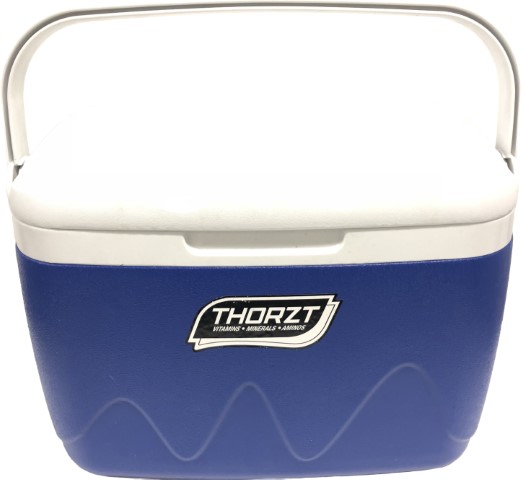 THORZT ICE BOX 21 LITRE